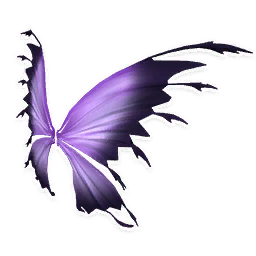 black fairy wings