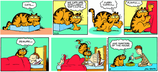 1978-06-25