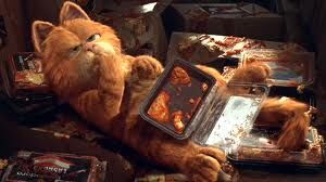 Lasagna Garfield Cat