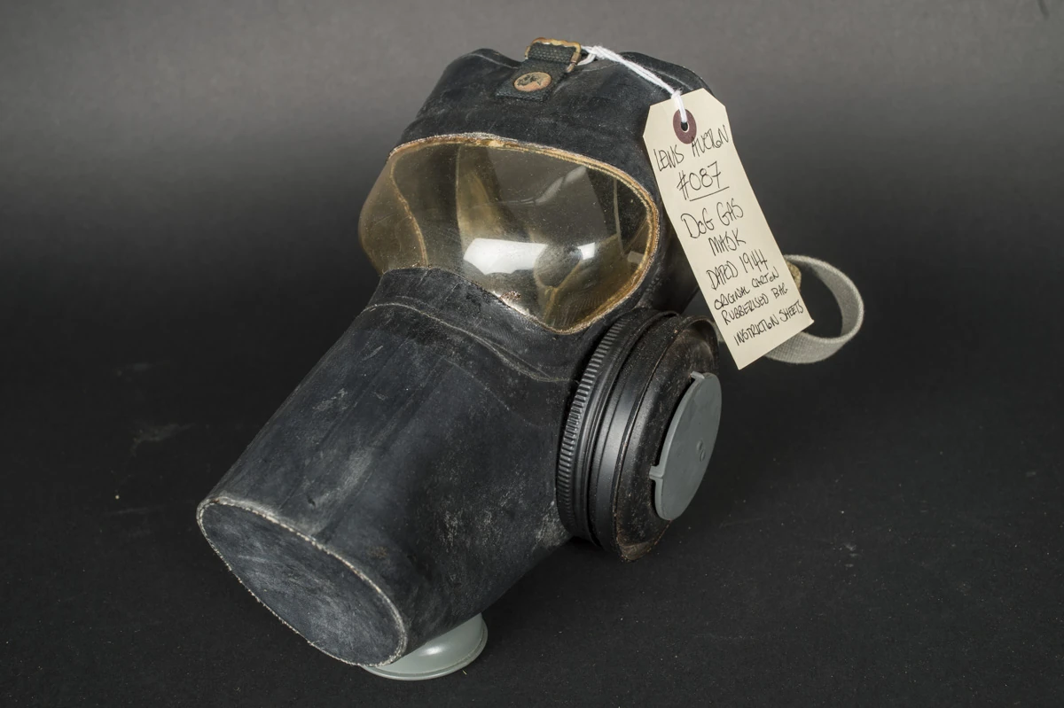 United States M6128 Gas Mask Gas Mask and Respirator Wiki Fandom