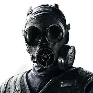 S10 Gas Mask Outserts