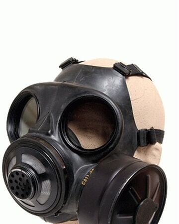 S10 Gas Mask Filter Safe