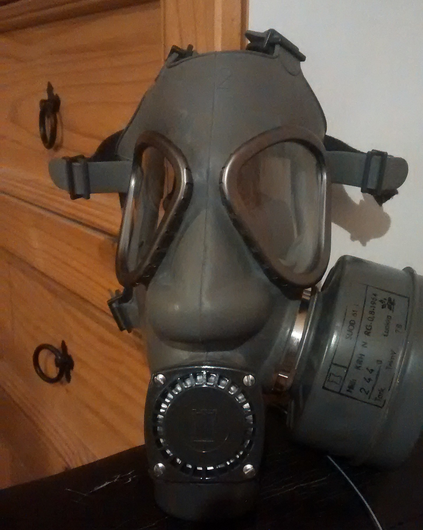 S10 Gas Mask Filter Safe