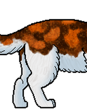 Rosella Los Gatos Guerreros Wiki Fandom