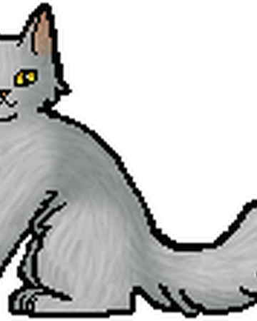 Garrudo Los Gatos Guerreros Wiki Fandom