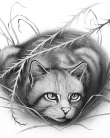 Rabo Largo Los Gatos Guerreros Wiki Fandom