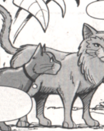 Corazon De Leon Los Gatos Guerreros Wiki Fandom