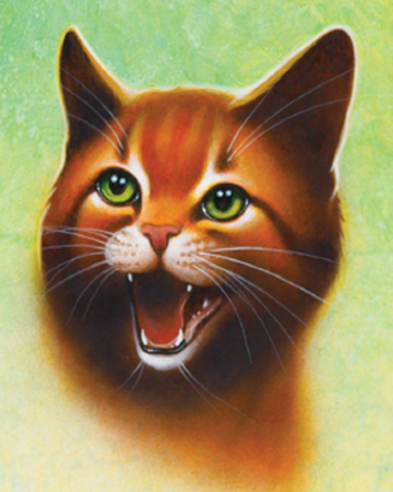 Estrella De Fuego Los Gatos Guerreros Wiki Fandom