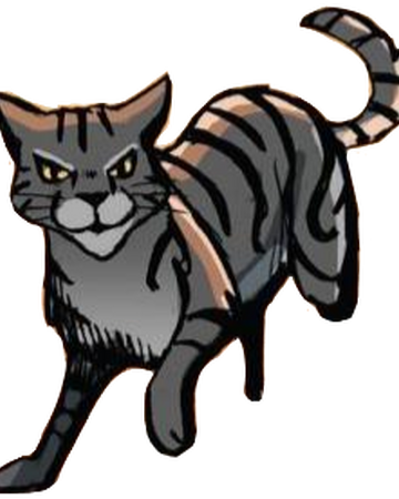 Cebrado Los Gatos Guerreros Wiki Fandom