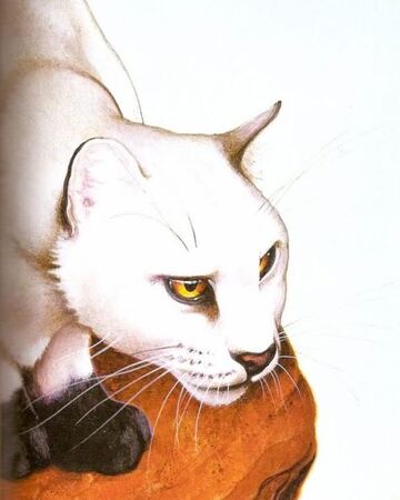 Estrella Negra Los Gatos Guerreros Wiki Fandom