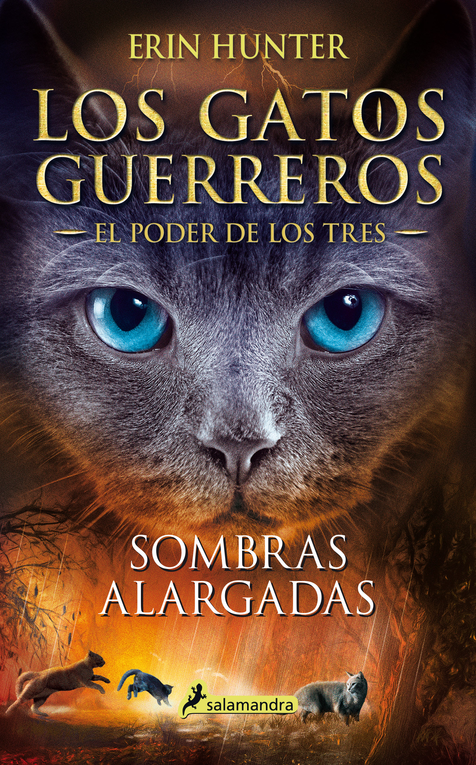 Sombras alargadas/General | Los Gatos Guerreros Wiki | Fandom