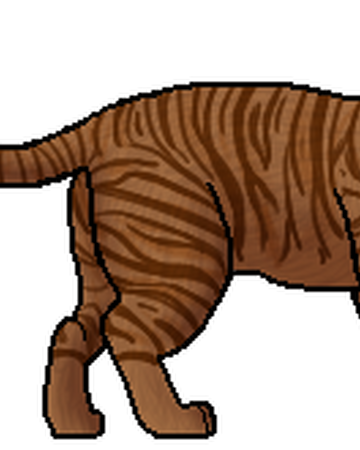 Viento Veloz Los Gatos Guerreros Wiki Fandom