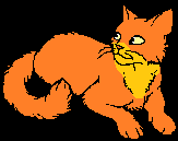 Cheetahpelttc