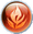 Fire Icon