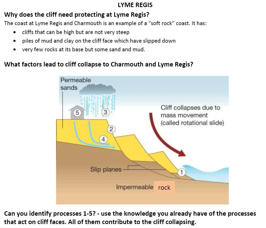 Coastal management at lyme regis gcse image