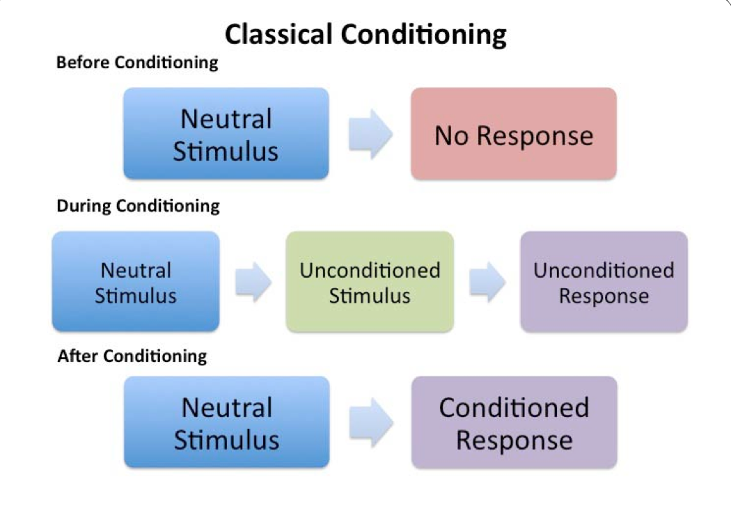 classical-conditioning