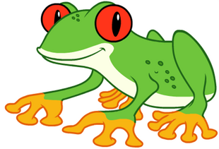 Red-Eyed Tree Frog | Go, Diego, Go! Wiki | Fandom
