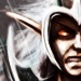 Elven High Lord