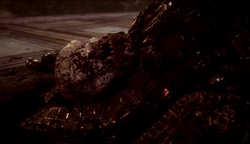 RAAM Death UE