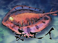 Akaei07