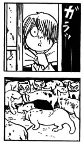 Kitaro espiando a casa