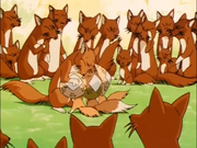 Fox Families 96 EP51