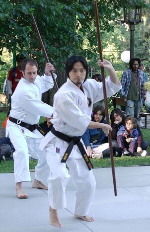 Bojutsu demo01