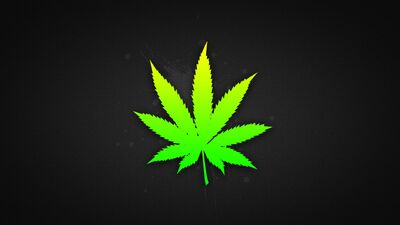 Weed leaf 228 hd-HD
