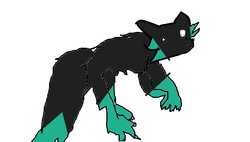 Shadwo
