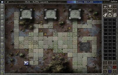 Field C5 Map