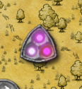 Endurance cleared