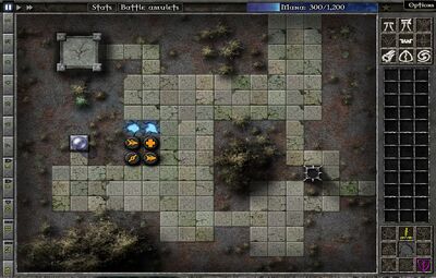 Field C6 Map