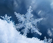 Ice Crystal