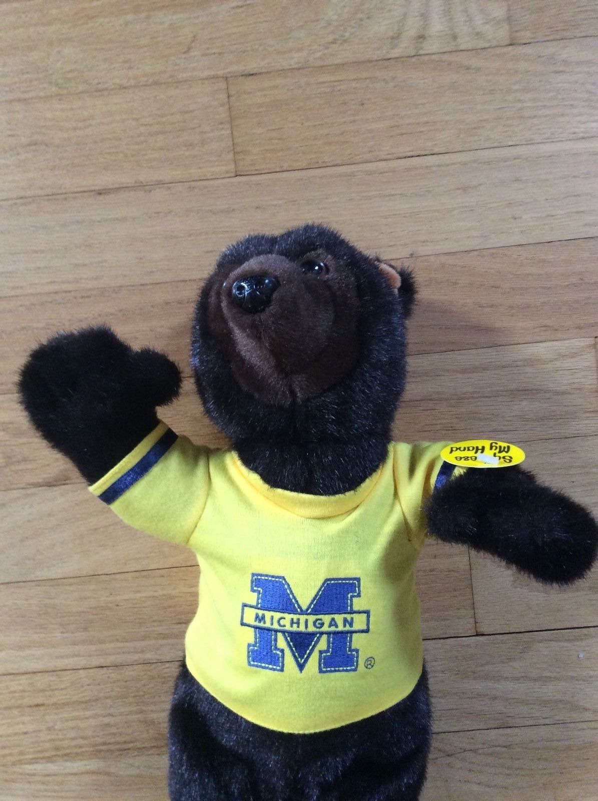 Image - University of Michigan Animated Dancing Mascot - Plays Fight