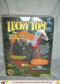 Lucky tom's box
