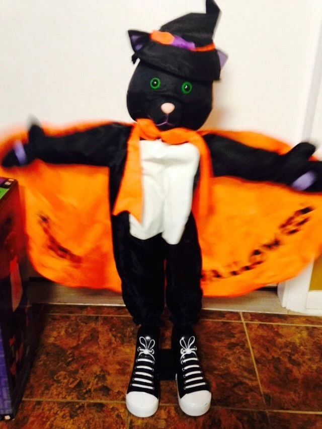 Image - Gemmy Halloween Animated Treater Greater Black Cat Motions And