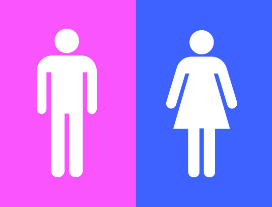 Binary Genders Gender Wiki Fandom Powered By Wikia 4686