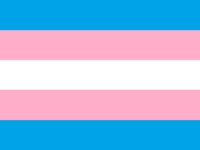 File:Trans Pride Flag.png
