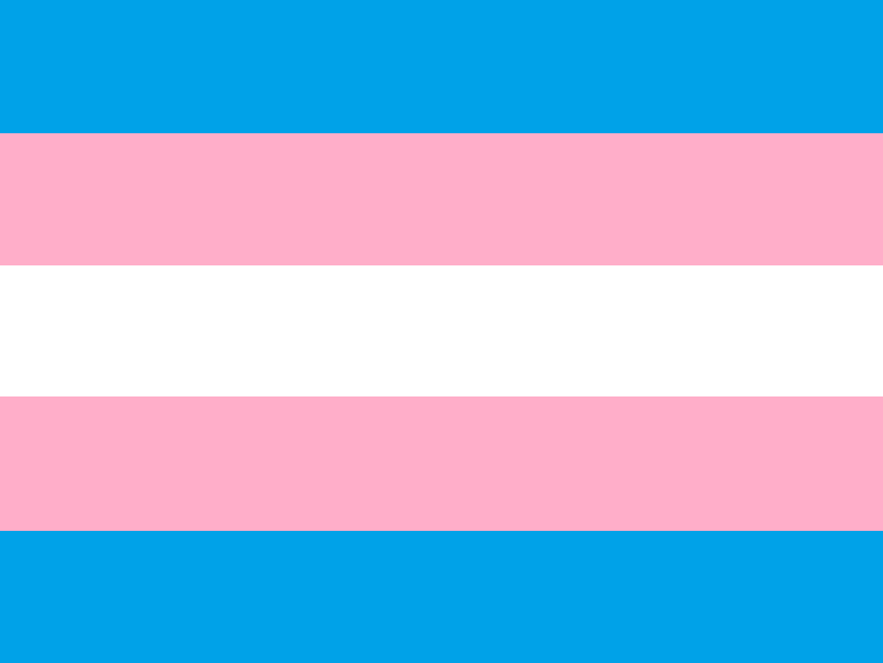 Pride Flags | Gender Wiki | FANDOM powered by Wikia