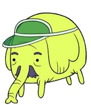 Male Tree Trunks