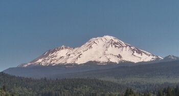 Shasta from south