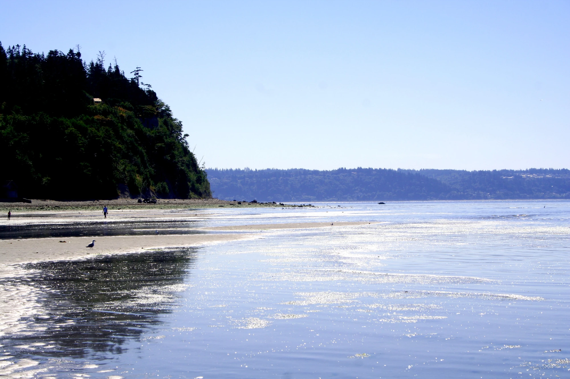 Snohomish County, Washington Familypedia FANDOM powered by Wikia