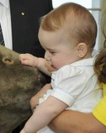 George Mountbatten Windsor 2013 Familypedia Fandom