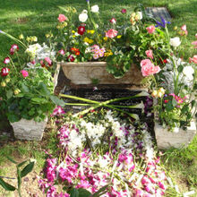 Westwood Village Memorial Park Cemetery Familypedia Fandom