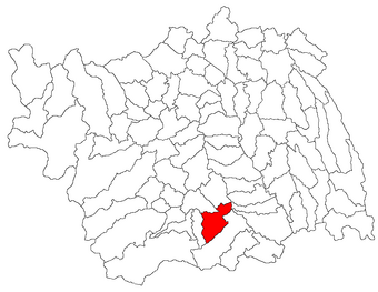 Commune Of ștefan Cel Mare Bacău Familypedia Fandom