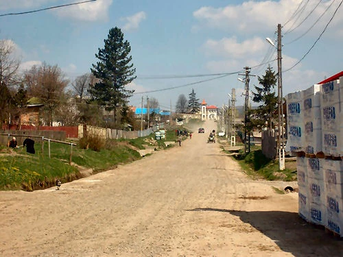 Image Tudora Botosani.jpg Familypedia FANDOM powered by Wikia