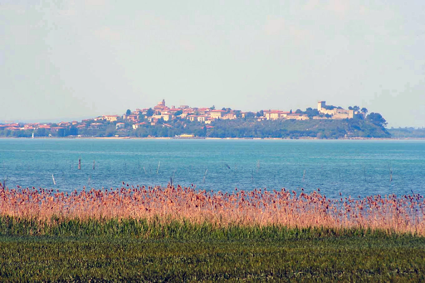 Castiglione del Lago Familypedia FANDOM powered by Wikia