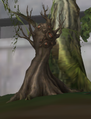 180px-Tree evo