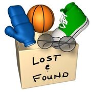 Lost-found