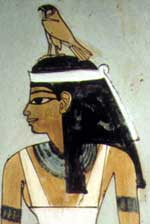 Amentet hawk